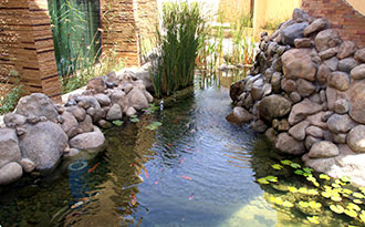 fishpond